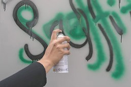 System Anti-Graffiti